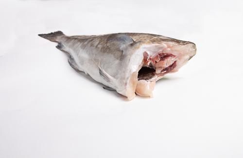 Dorsz atlantycki- Tusza (1kg, 1-2 kg) - w opakowaniu styropianowym - waga 20 kg