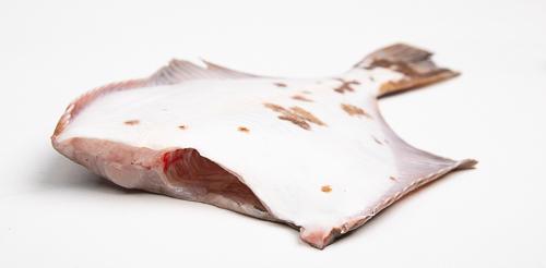 Flądra bałtycka bez głowy - tusza (220 g+)