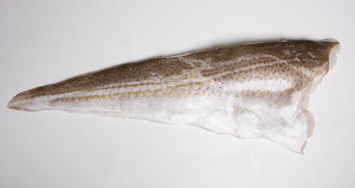 Dorsz atlantycki- Filet ze skórą (200 - 400 g, 400-800g)