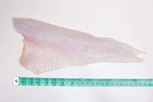 Dorsz bałtycki - filet bez skóry (100-200 g)