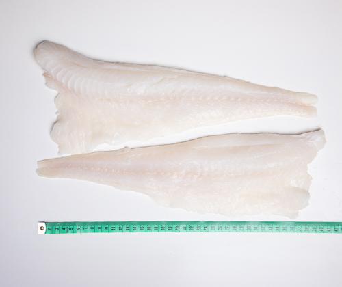 Dorsz atlantycki - filet bez skóry(200 - 650g)