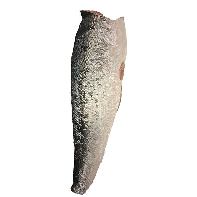 Troć bałtycka - filet ze skórą – 1kg